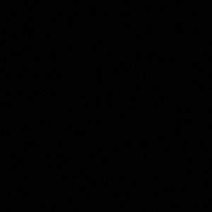 Meet your Posher, Trishina